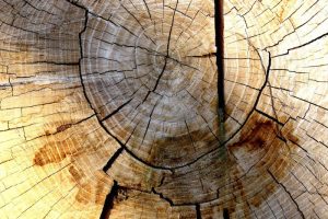 Parquet exotique