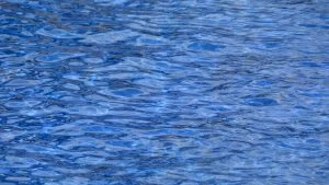La piscine apporte de la plus-value à la maison