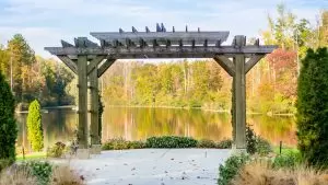 Pergola : comment bien la choisir pour son jardin ?