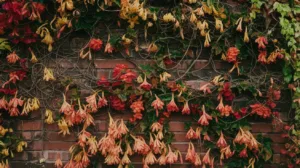 Audace florale automnale : associez motifs et prune pour un mur vivant