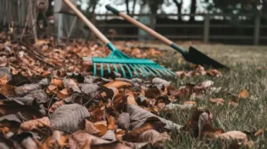 Feuilles Mortes et Pelouse Étouffée : 5 Astuces de Nettoyage d’Octobre pour un Jardin Sain
