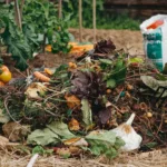 Découvrez l'Alternative au Compostage Qui Transforme Votre Potager Facilement Découvrez l’Alternative au Compostage Qui Transforme Votre Potager Facilement