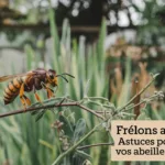 Frelons asiatiques : astuces pour sauver vos abeilles et jardins Frelons asiatiques : astuces pour sauver vos abeilles et jardins