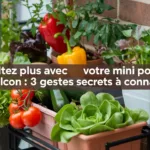 Récoltez plus avec votre mini potager de balcon : 3 gestes secrets à connaître !