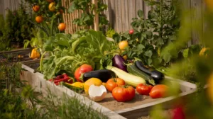 Découvrez le secret d&rsquo;un potager autonome grâce à vos déchets!
