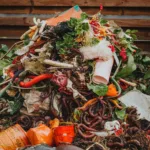 Récoltez mieux sans effort : L'alternative au compostage traditionnel Récoltez mieux sans effort : L’alternative au compostage traditionnel