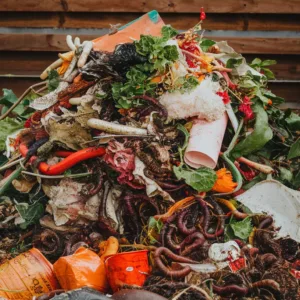 Récoltez mieux sans effort : L&rsquo;alternative au compostage traditionnel