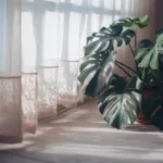 Adoptez cette routine pour des plantes d'intérieur toujours en pleine forme