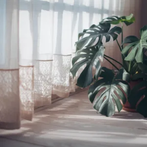 Adoptez cette routine pour des plantes d&rsquo;intérieur toujours en pleine forme