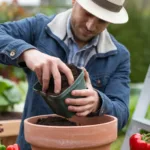 Pailler son potager : les bons réflexes pour protéger la terre et les légumes