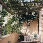 Comment choisir des plantes grimpantes pour votre terrasse
