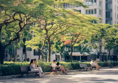 Les arbres en milieu urbain : un remède contre les vagues de chaleur
