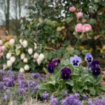 Comment garder un jardin éclatant même à l’approche de Noël