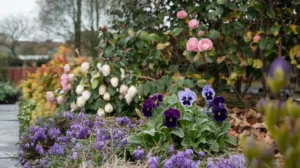 Comment garder un jardin éclatant même à l’approche de Noël